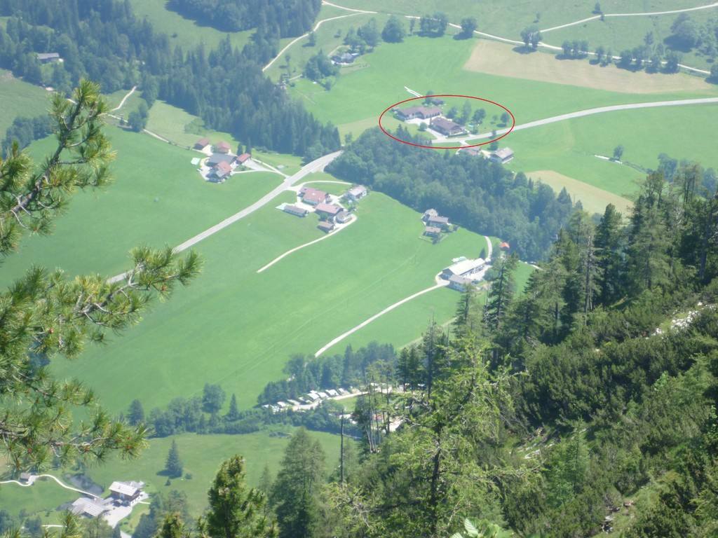 Almwiesen und Wälder mit Blick ins Tal