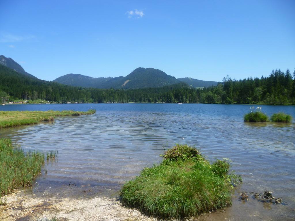 Seeufer mit Schilf und Bergen
