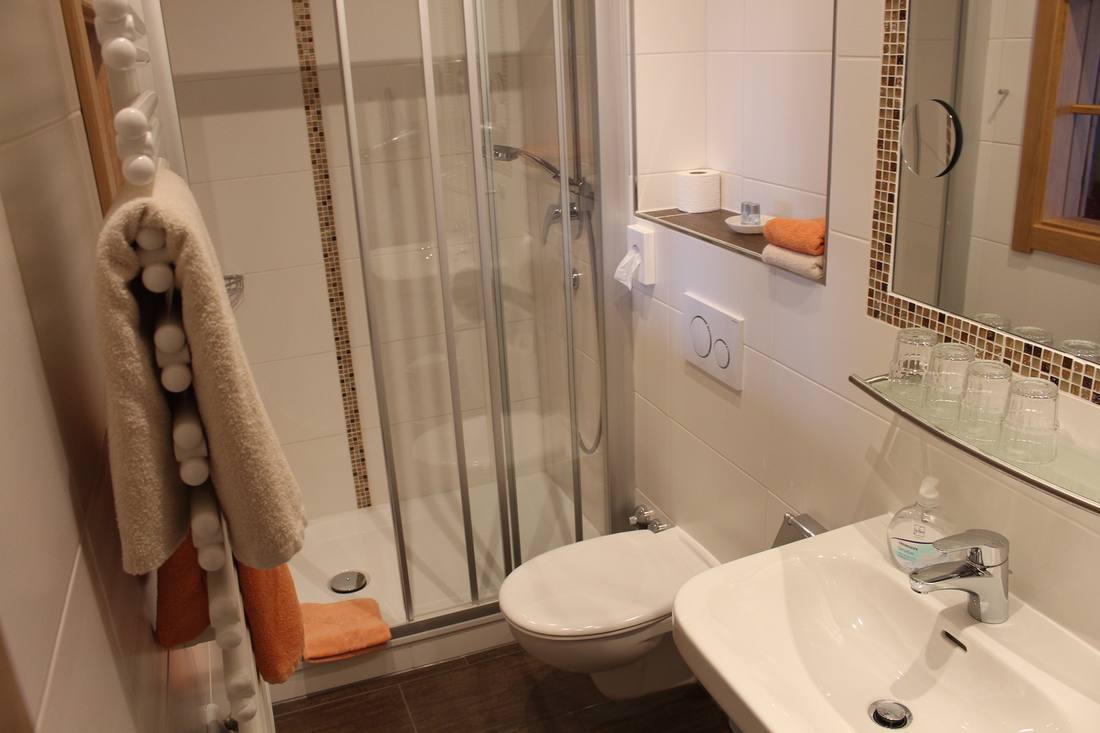 Badezimmer mit Dusche und WC